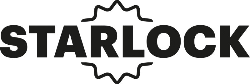 Starlock Set für Renovierungsarbeiten, Expert for Wood Schleifblatt