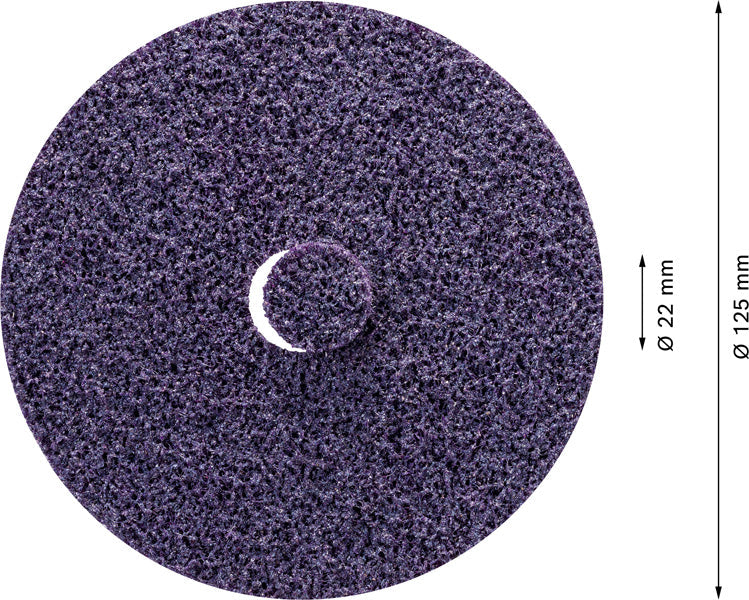 EXPERT N477 SCM Scheibe für Winkelschleifer, 125 x 22 mm, extra grob, 25-tlg.