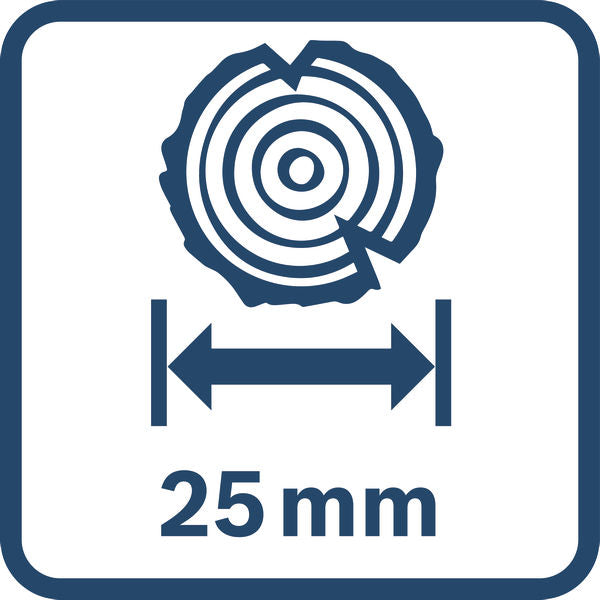 Akku-Gartenschere GGP 12V-25, 2 x Akku GBA 12V 3.0Ah