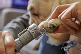 DREMEL® Krallenpflegeset für Haustiere