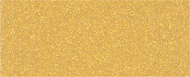 EXPERT C470 Schleifpap., o. Löcher für Schwingschl., 93 x 230 mm 10er-Pack