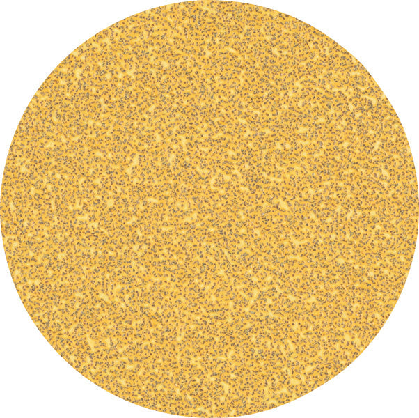 EXPERT C470 Schleifpap 125 mm 50er-Pack
