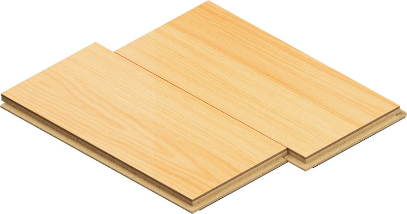 EXPERT Sanding Finger Coarse AVZ 32 RT4 Schleiffinger, 32 x 50 mm