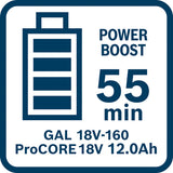 Starter-Set 2 x ProCORE18V 12.0Ah + GAL 18V-160